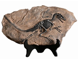 Fosilní figurka dinosaura odlitek pryskyřice