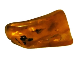 Jantar baltský4-cca 3,18 g-3x1,7x1 cm