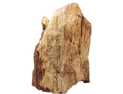 Opál dřevitý  cca 1501 g