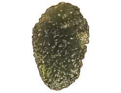 Vltavín - cca 2,7 g - 2,2x1,4x1 cm 